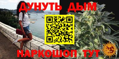 шишки Коммунар