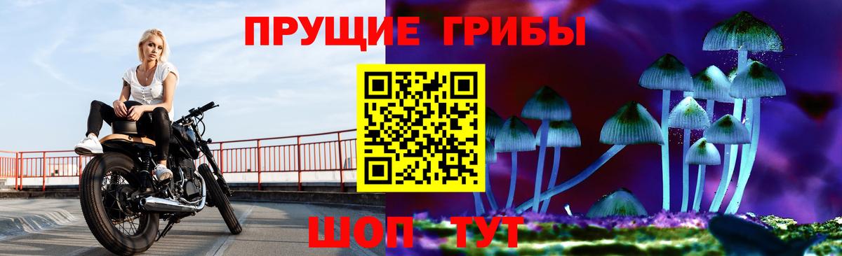Псилоцибиновые грибы мицелий  Вход с VPN  купить закладку  Кемерово 